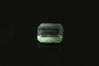null Rectangular tourmaline with cut sides on paper. 

Weight : 0.45 cts.