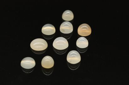 null Lot of ten cabochons of various sizes of moonstone. 

Total weight : 24.82 ...