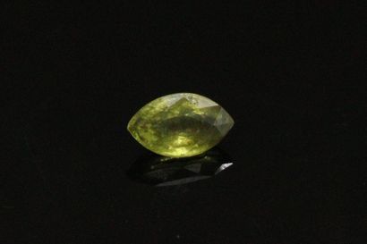 null Green sapphire on paper. 

Weight : 0.59 cts.