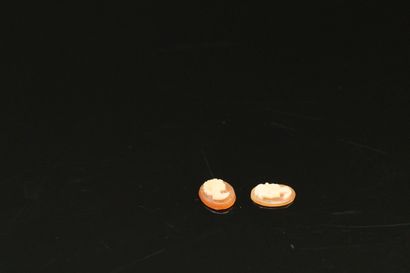 null Set of two cameos with profiles of women. 

Heights: 7 and 8 mm.