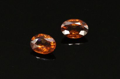 null Pair of orange zircons on paper.

Weight : 2.60 cts.