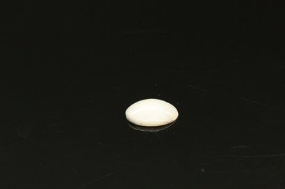 null Mother-of-pearl cabochon on paper. 

Weight : 3.60 cts.