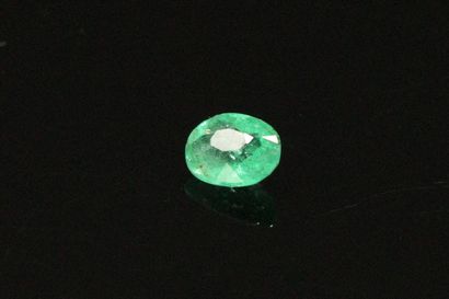 null Oval emerald on paper. 

Weight : 0.21 cts.