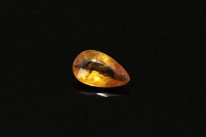 null Pear yellow sapphire on paper. 

Weight : 0.55 ct