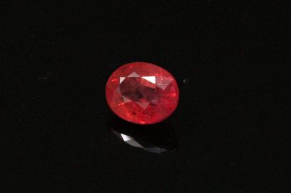 null Oval ruby on paper. 

Weight : 0.76 cts.