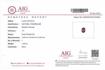 null Tourmaline rouge-orange coussin sur papier. 

Accompagnée d'un certificat AIG....