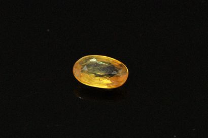 null Oval yellow sapphire on paper. 

Weight : 0.62 cts.