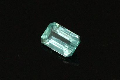null Rectangular apatite with cut sides on paper. 

Weight : 0.58 cts.