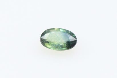 null Blue and green oval sapphire on paper.

Weight :0.49 cts.