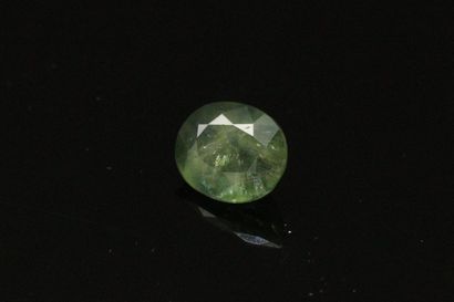 null Green oval sapphire on paper. 

Weight : 1.28 cts.