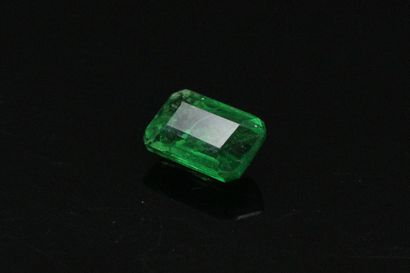 null Rectangular tsavorite garnet with cut sides on paper.

Weight : 2.54 cts.
