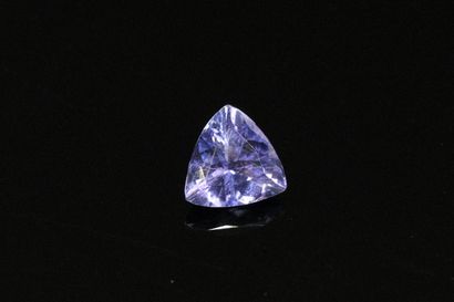null Tanzanite trillion on paper.

Weight : 1.15 cts.