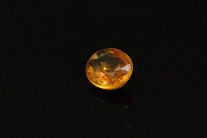 null Oval yellow sapphire on paper. 

Weight : 0.61 cts.