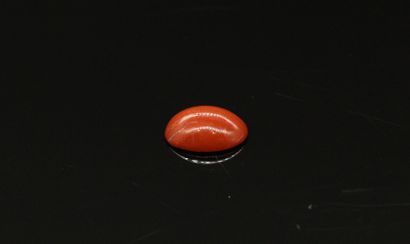 null Carnelian cabochon on paper. 

Weight : approx. 4.85 cts.