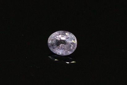 null Oval purple sapphire on paper. 

Weight : 0.61 cts.