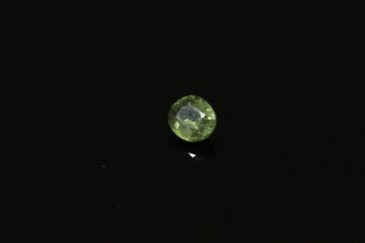 null Green oval sapphire on paper.

Weight : 0.62 cts.