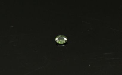 null Green oval sapphire on paper. 

Weight : 0.64 cts.