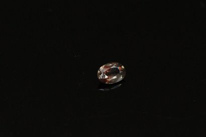 null Oval purple sapphire on paper.

Weight : 0.49 cts.