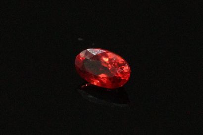 null Oval ruby on paper. 

Weight : 0.35 cts.