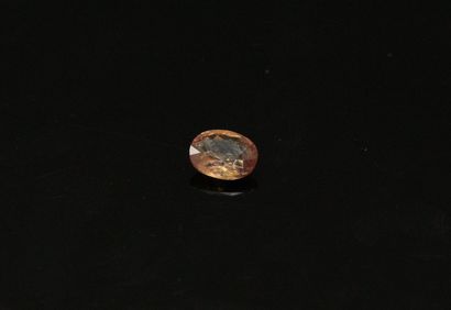 null Oval orange sapphire on paper. 

Weight : 0.77 cts.