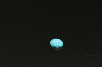 null Turquoise cabochon on paper. 

Weight : 1.90 cts.