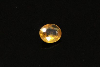 null Oval sapphire on paper. 

Weight : 0.64 cts.