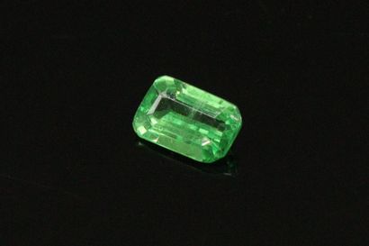null Rectangle tsavorite garnet with cut sides on paper.

Weight : 0.75 cts.