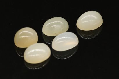 null Lot of 5 moonstone cabochon on paper. 

total weight: 30.34 cts.