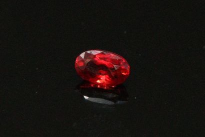 null 
Oval orange sapphire on paper. 




Weight : 0.35 ct.
