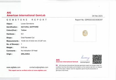 null Oval yellow sapphire on paper. 

Accompanied by an AIG certificate indicating...