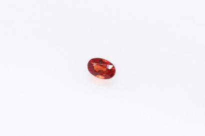 null Oval orange sapphire on paper. 

Weight : 0.40 ct