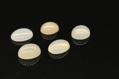 null Lot of 5 moonstones cabochons on paper. 

Weight : 28.81 cts.