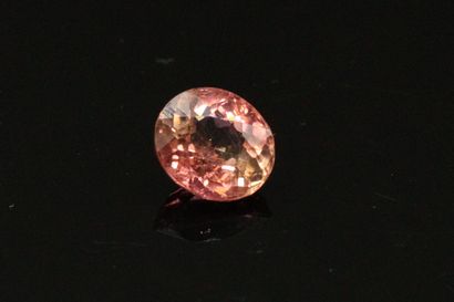 null Pink tourmaline oval on paper. 

Weight : 1.65 cts.