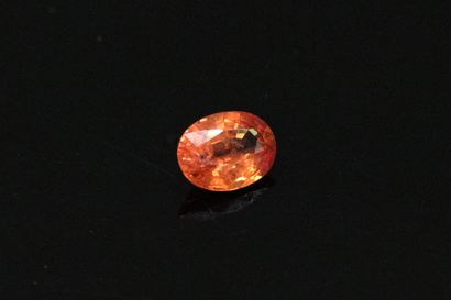 null Oval orange sapphire on paper.

Weight : 0.86 cts.