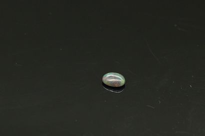 null Black cabochon opal on paper. 

Weight : 0.88 cts.