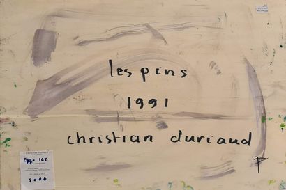 null DURIAUD Christian (né en 1944)

Les pins, 1991

Huile sur panneau signée en...