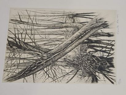 null REIMS Cécile (1927-2020)

Calligraphies végétales, 2011

Suite de 10 gravures...