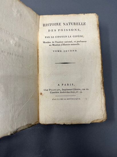 null LA CEPEDE (citoyen)



Histoire naturelle des poissons, Paris, Imp-Lib Plassan,...