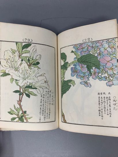 null BAIREI Kono

Mille fleurs "senshuno hana ", Kyoto, Yamada Unsodo, 1890, 1 vol....