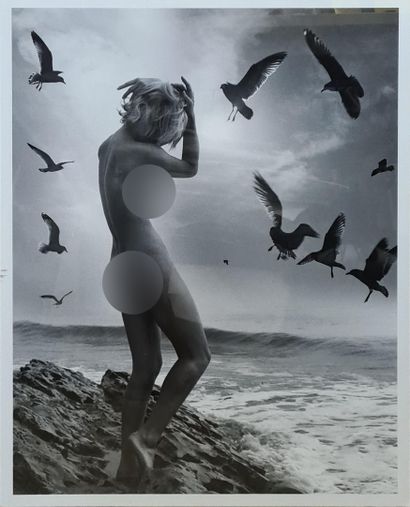 null André de DIENES (1913-1985). 

Female nude surrounded by birds at the seaside....