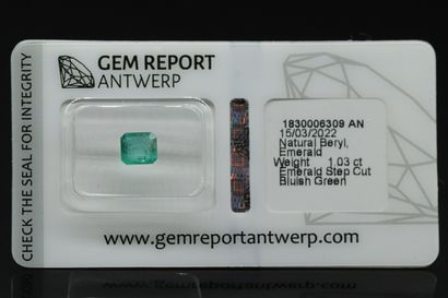 null Bluish green" emerald on paper.

Accompanied by a GEM ANTWERP certificate indicating...