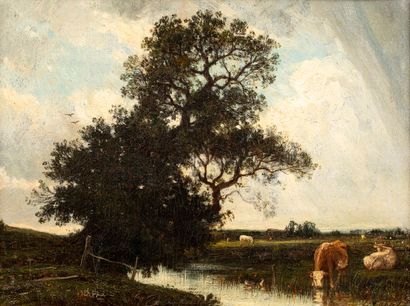 null FRENCH ECOLE 19th century,

Cows in a meadow,

oil on canvas (cracks and restorations),...