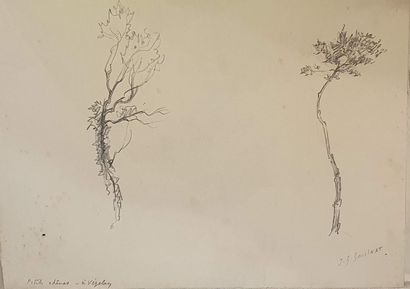 null GOULINAT Jean Gabriel (1883-1972)

Paysage (3) - étude de roches - étude d'arbre...