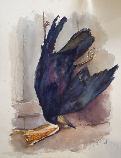 null GIRARD Louis Auguste (1896-1981)

Nature morte au corbeau

aquarelle signée...