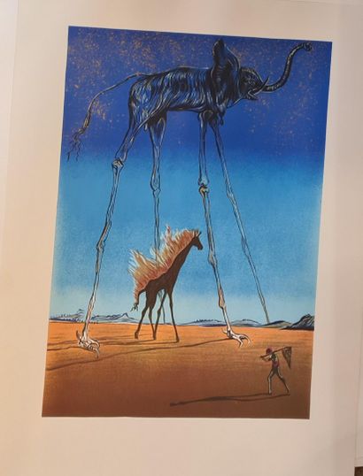 null DALI Salvador, after

Elephant

Lithograph, unsigned

76 x 55.5cm.