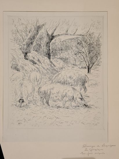 null DUNOYER de SEGONZAC André (1884-1974)

The pig, for the Georgics

Etching, annotated...