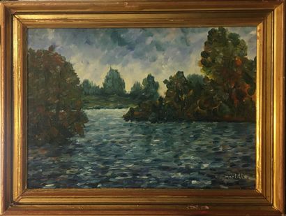 null MONTILLO Pierre (XXIst)

Pond

Painting on canvas signed lower right 

33 X...