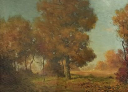 null WOOD William Reuben Clark (1875-1915)

Sous bois à l'automne, 1909

Huile sur...