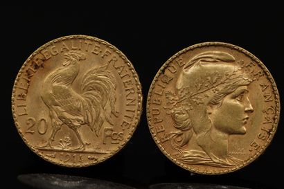 null Lot de deux pièces en or de 20 francs Coq (1907 ; 1914)

TTB à SUP. 

Poids...
