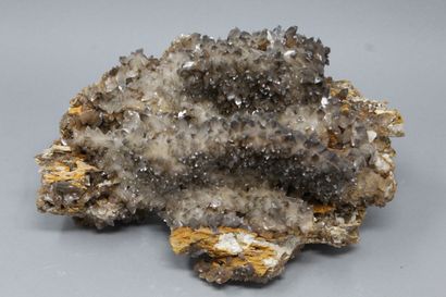 null Calcite : parterre de scaléboèdres bruns à extrémité claire (1982)

Mine Monteponi,...